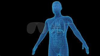 人体透视相机手机版xray透视相机v131-第1张图片-太平洋在线下载